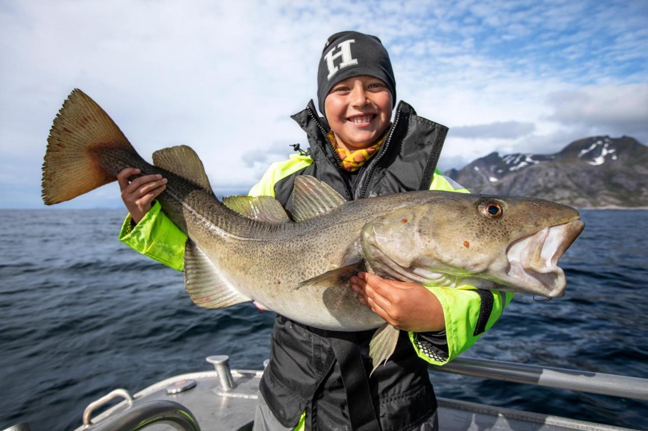 Lofoten Rorbu Lodge Offersoya Eksteriør billede